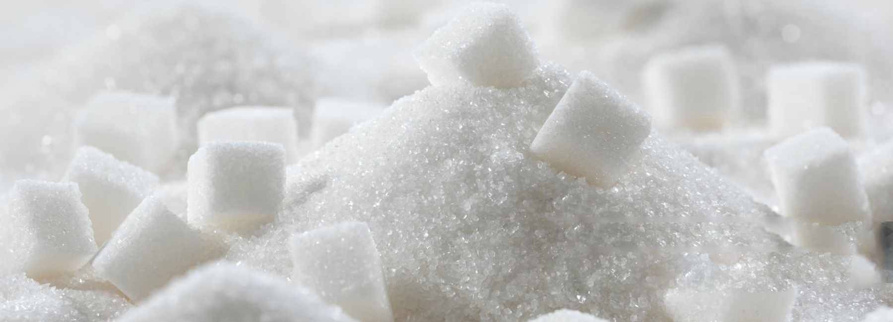 Sugar-Industry--