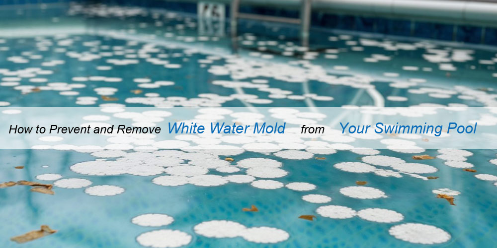 white-water-mold